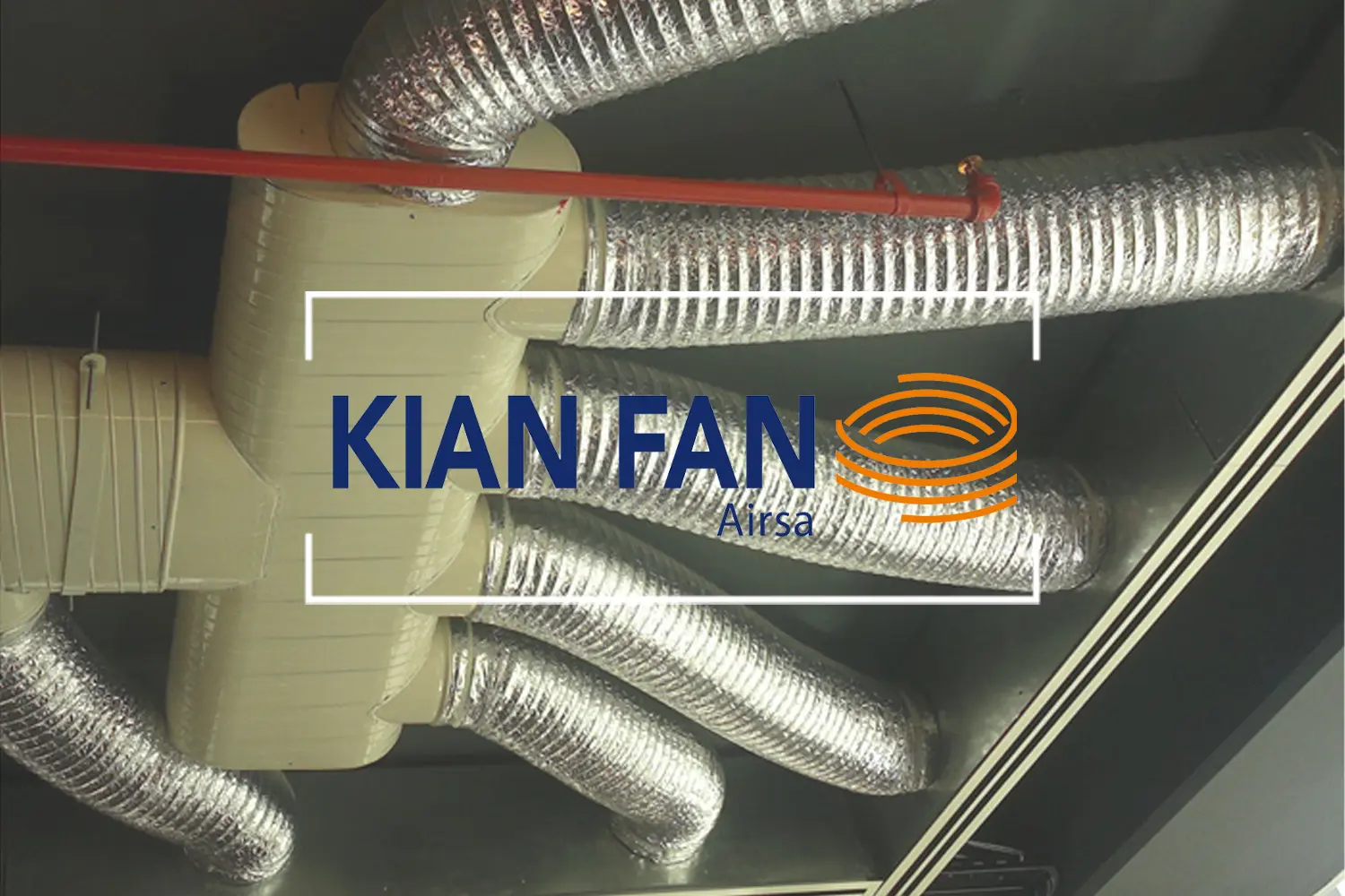 kianfan